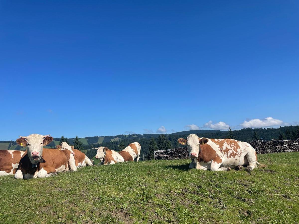 Ferienwohnung Oberallgaeu Ferienpark Mit Schwimmbad Missen Wilhams Bagian luar foto